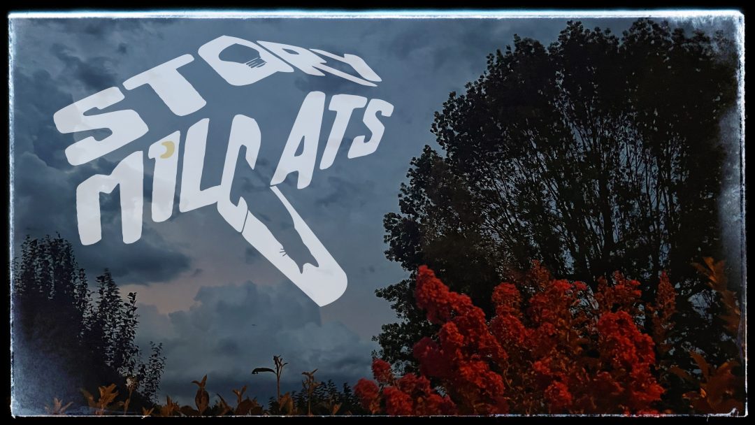 logo storymilcats dans un paysage