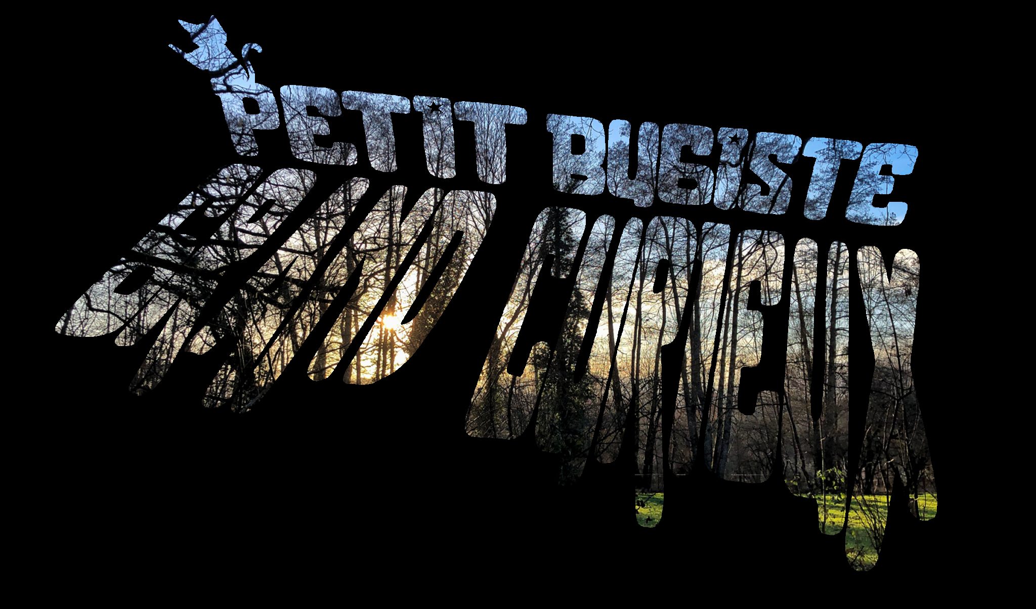 Participez à l&rsquo;élaboration des actions de « Story Milcats » et à la maquette de « Petit Bugiste et Grand Curieux ».